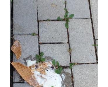 Brutaler Mord an Eistüte