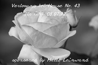 the winner is / Gewinner von HalloLeinwand