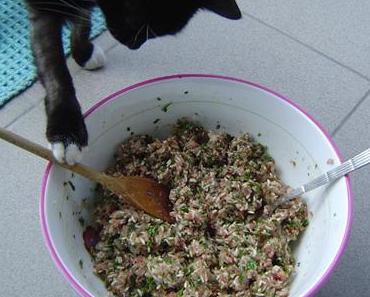 Pheromone, Feliway und Mausi