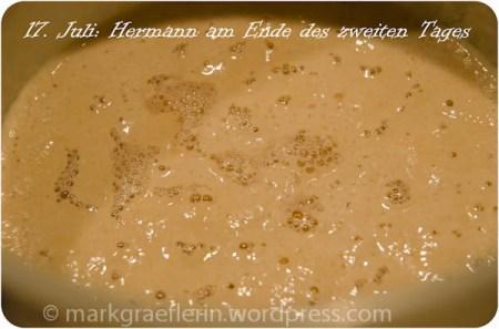 17. JULI – Hermann am Ende des zweiten Tags – …einmal kräftig rühren, bitte!