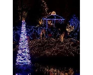 Festival of Lights at Van Dusen Botanical Gardens, Vancouver