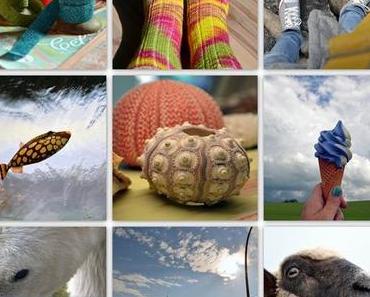 Monatsmosaik Juli 2012 #1