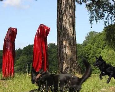 occupy globe documenta kassel dogs photography – time guards by manfred kielnhofer