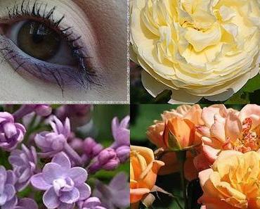 Flieder, Gelb & Apricot - AMU in Pastellfarben