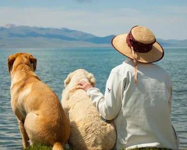 Der Retriever – Ausgabe Aug. 2012