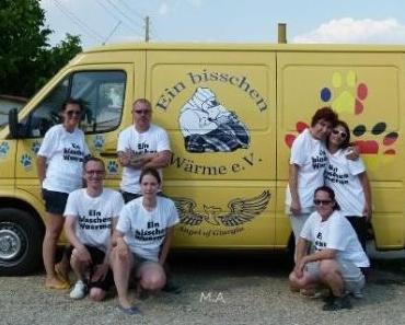 Michele Angelo und seine drei Freunde machen Urlaub :)