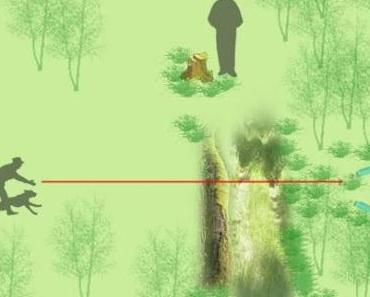 Verleitung wird zum Memory-Mark