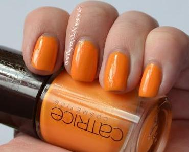 Catrice (Cucuba LE) C01 Sunny Side