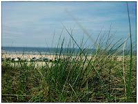 wallpaper-1689754