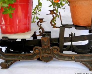 Traumgewicht Reloaded und meine Waage