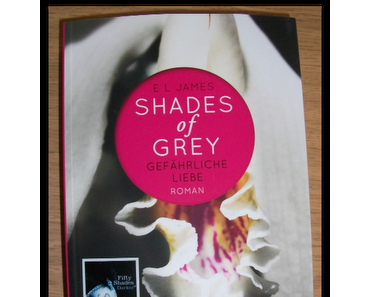 [Rezension] Shades of Grey - Gefährliche Liebe von E.L. James