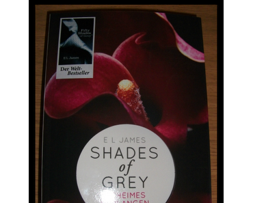 [Rezension] Shades of Grey - Geheimes Verlangen von E.L. James