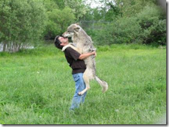 Vorsicht Co-Evolution!