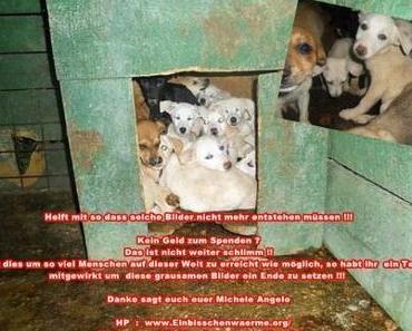 Michele Angelo Kooperation mit Ein bisschen Wärme