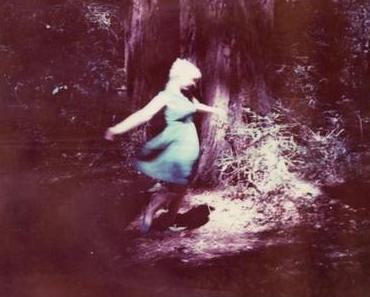 Gallery: Shelbie Dimond