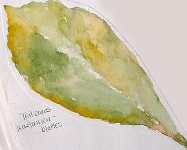 Drawing Challenge: leaves / Blätter