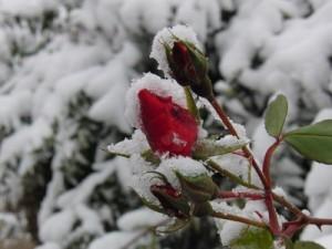 War das der Winter?