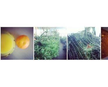 my {Insta} weekend ...