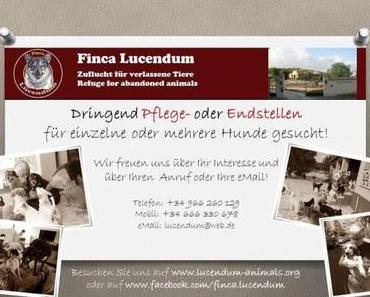 Die Finca Lucendum sucht dringend Pflege- oder Endstellen!