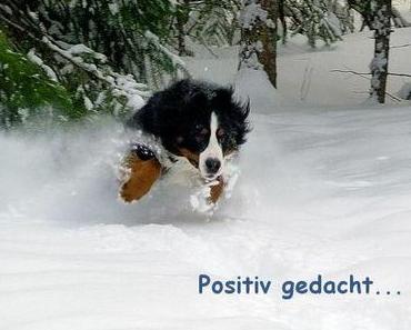 Positiv gedacht – Woche 2 in 2013
