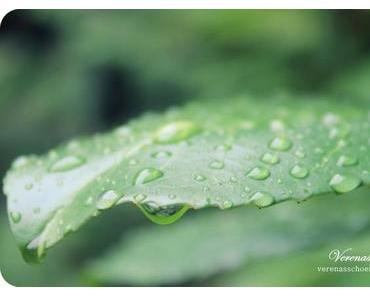 Wordless/Wordful Wednesday: Hallelujah, it´s raining...