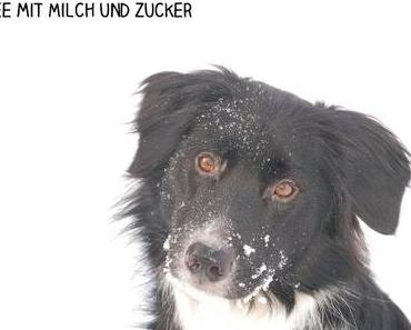 Improvisation ist alles!