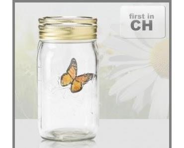 Schmetterling im Glas