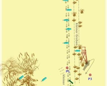 Training … mal wo anders :)