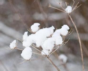 Winterspaziergang