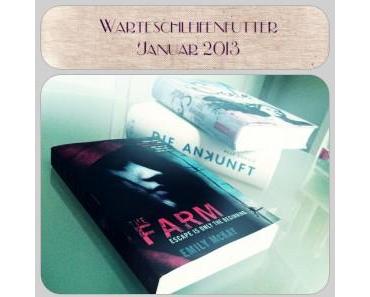 Warteschleifenfutter Januar 2013