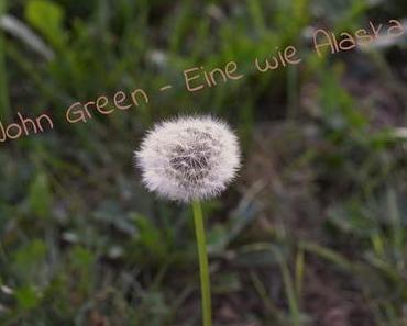 Let's talk about quotes #2