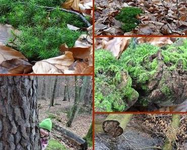 Es war einmal an einem trüben Februartag…