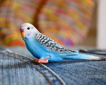 Zwei 20dreizehn :: Helau!