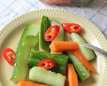 Eingelegte Möhren und Gurken