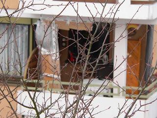 Kolumne: Auf gute Nachbarschaft