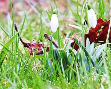 Erst Krankenlager, dann Sommer, jetzt der Alltag