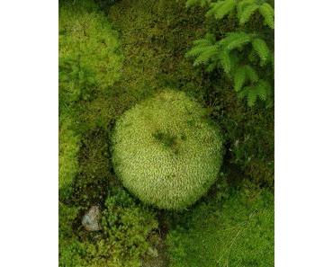 3 x 11 Gelegenheiten, Persönliches preiszugeben