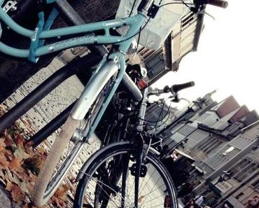 Es gibt nur eine Regel in der Fotografie : Entwickle niemals einen Film in Hühnchensuppe - Freeman Patterson