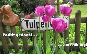 Positiv gedacht – Woche 10 in 2013