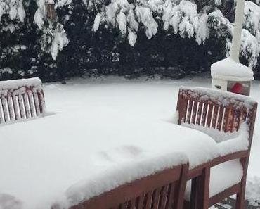 ...und nochmals Schnee!