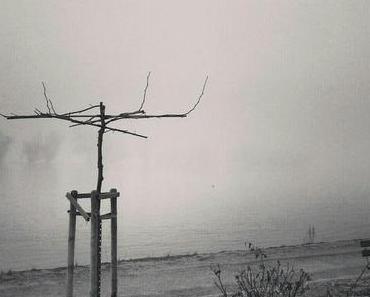 Wordless/Wordful Wednesday: One foggy sunday morning... (Instagram)