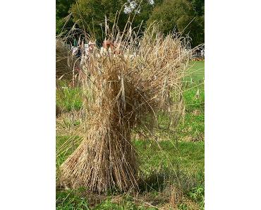 Warenkunde: Mehl ist nicht gleich Mehl