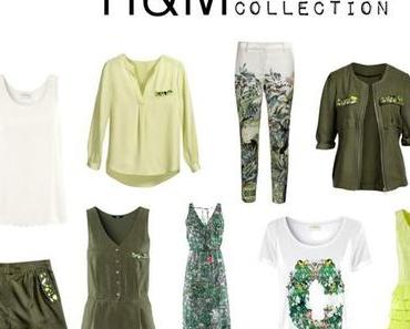H&M; Conscious Collection 2013