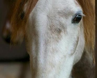 Was Ich In den Osterferien Mache