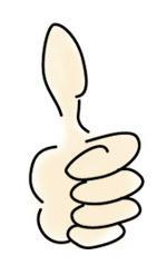 Wissen ist Macht – erster Zwischenbericht