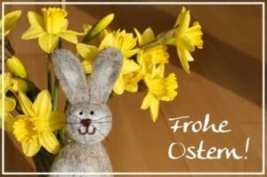 An alle Blogleser, Fans auf facebook und Freunde des honeycomb shop