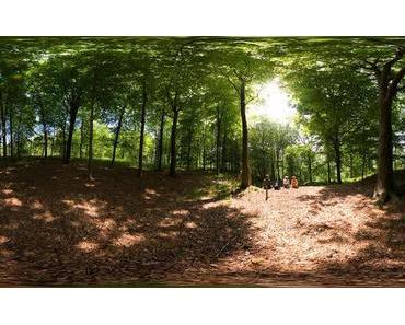 Die Wellness-Oase vor der Tür! Erholungsraum Wald.