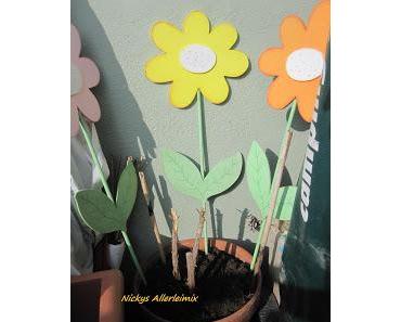 Die Sonne scheint- Endlich! und es hat mich gepackt