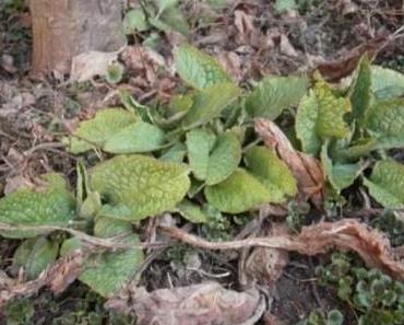 Liebe deinen Nächsten wie dich selbst