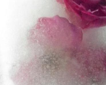 Und noch einmal Psychoanalyse